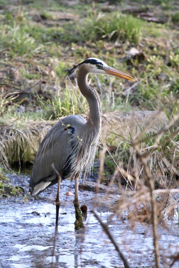 /Images/uploads/Harrybrooke Park/harrybrooke-park/entries/33752.jpg